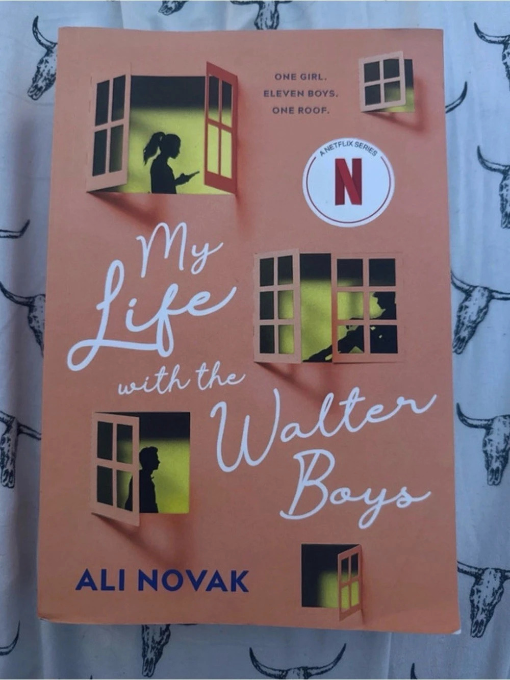 Sourcebooks Fire My Life with the Walter Boys Ali Novak Paperback Book